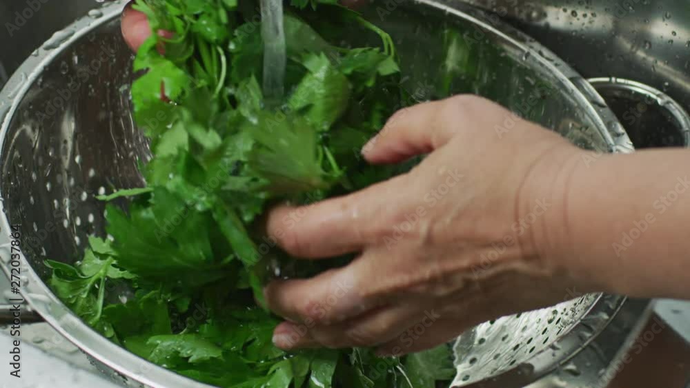 Hands washing parsley in a kitchen sink Hands washing parsley in a kitchen sink