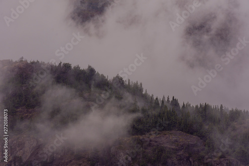 Scene view of clouds covering forest in the mountain