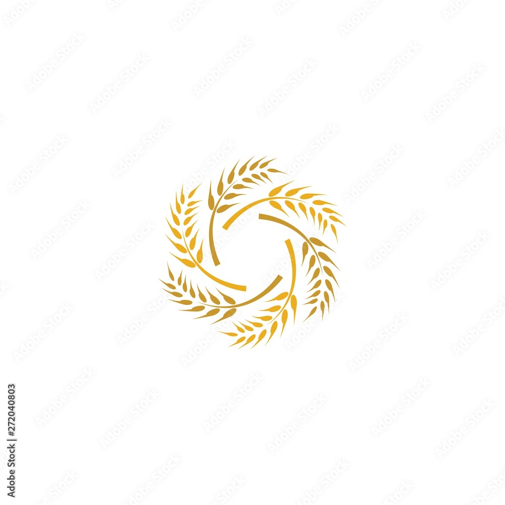 Obraz premium Wheat vector icon illustration design