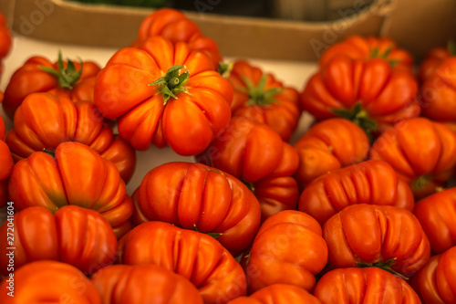 Close-up of many little tomatoes