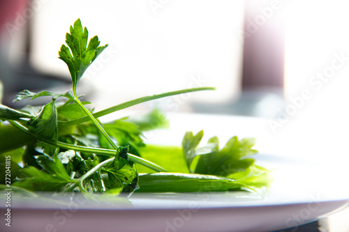 Salsa e cebolinha em fundo branco, temperos. photo