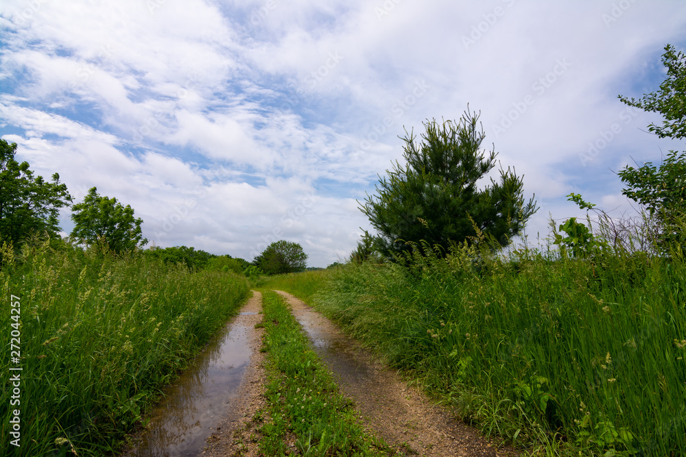 Dirt road through the countryside