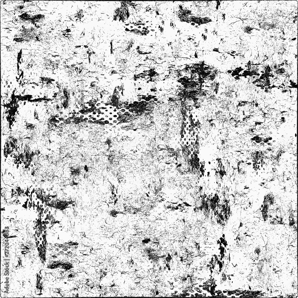 Black and white grunge. The texture of the old surface covered with scratches, scuffs, dust. Vintage dirty background in spots, cracks Black and white grunge. The texture of the old surface covered with scratches, scuffs, dust. Vintage dirty background in spots, cracks