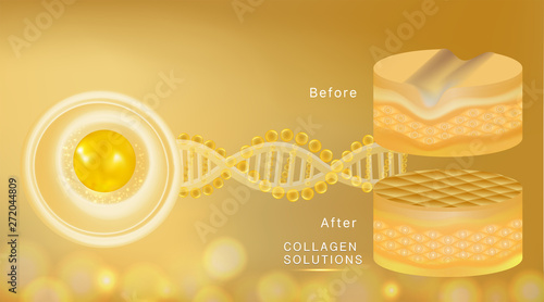 Hyaluronic acid before and after skin solutions ad, gold collagen serum drop with cosmetic advertising background ready to use, illustration vector.