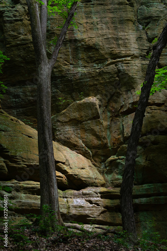 Sunlight on the canyon walls