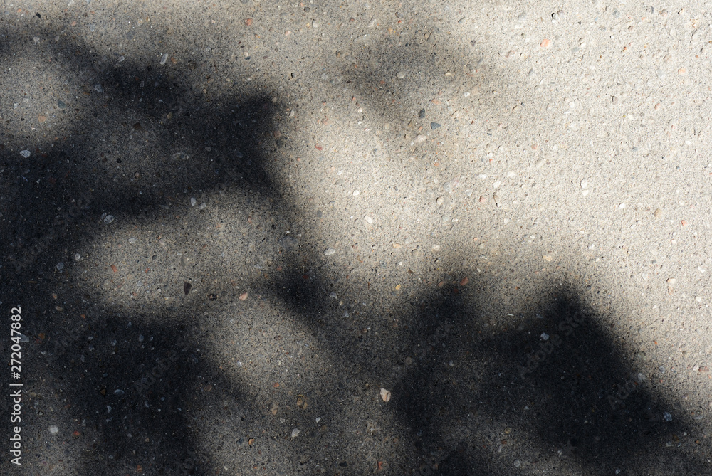Asphalt surface with the shadow of tree branches on a bright sunny day close up. Abstract background Asphalt surface with the shadow of tree branches on a bright sunny day close up. Abstract background