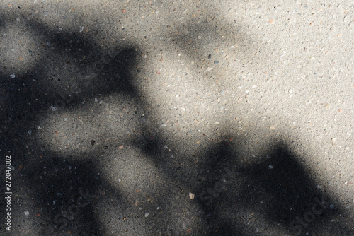 Asphalt surface with the shadow of tree branches on a bright sunny day close up. Abstract background