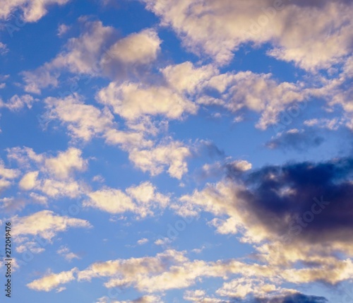 blue sky with white clouds. blue sky and clouds. tree and blue sky. blue sky with white clouds