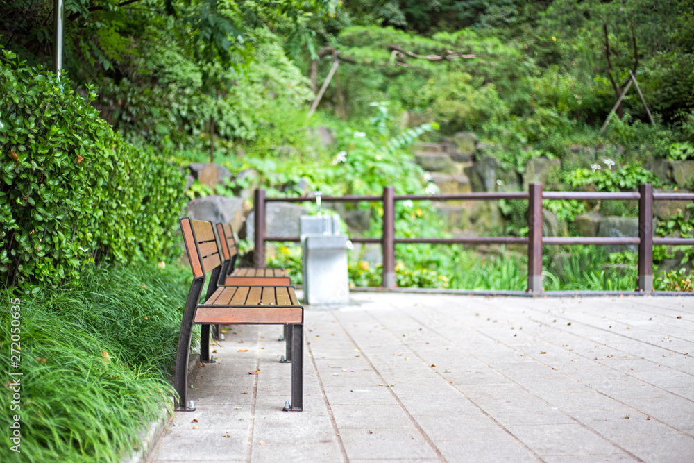 Obraz premium Empty Benches in a Park