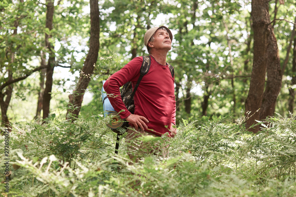 Close up portrait of traveler senior man searching right direction on map, traveling along nature. Old Tourist with map standing in amazing forest, freedom, active lifstyle, happy and health