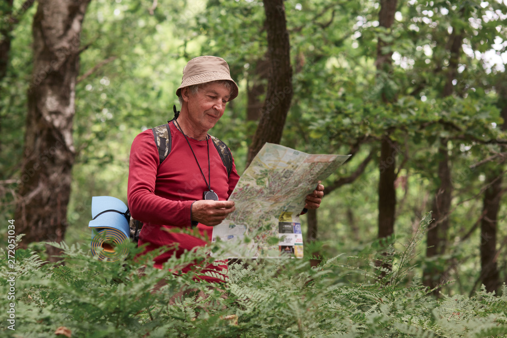 Close up portrait of traveler senior man searching right direction on map, traveling along nature. Old Tourist with map standing in amazing forest, freedom, active lifstyle, happy and health