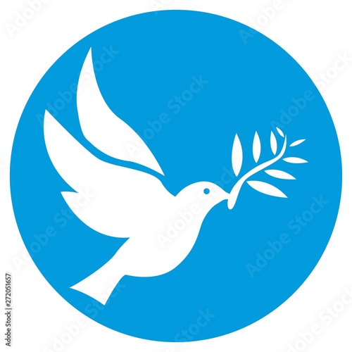 Dove of white color symbol of peace isolated in circle
