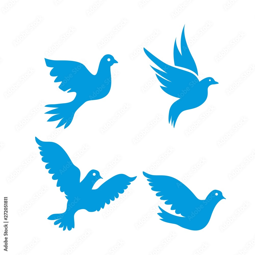 Fototapeta premium Set of flying birds sign isolated on white.