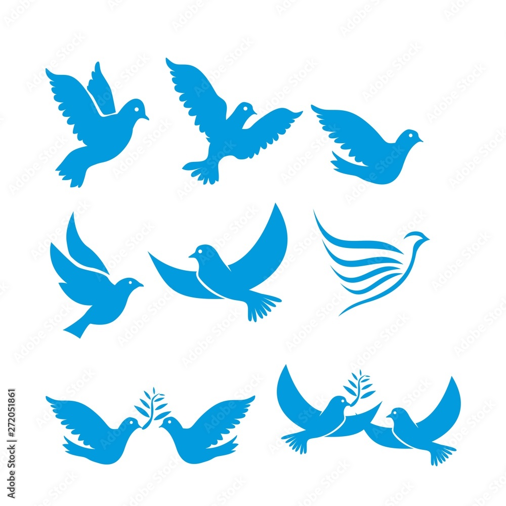 Fototapeta premium Set of flying birds sign isolated on white.