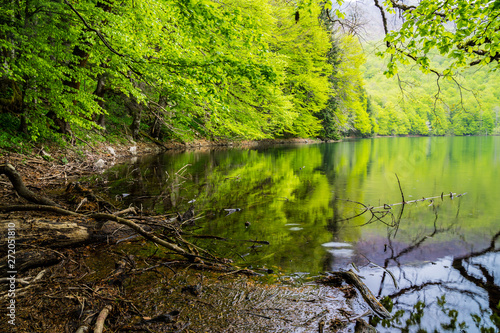 Montenegro  Glacial lake biogradska in green jungle like thicket of trees in famous biogradska national park nature landscape