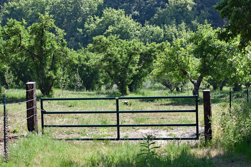 Gate to Apple Orchard