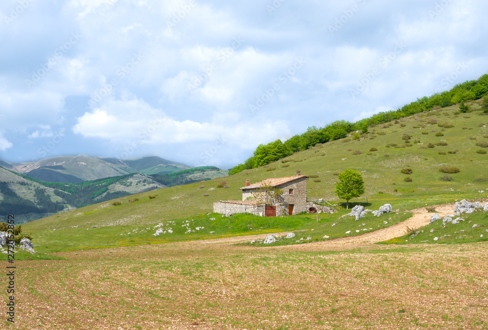 Altopiano di Rascino (Rieti, Italy) - The extended plateau of Rascino lake, over a thousand meters high, in the mountains between Lazio and Abruzzo region, province of Rieti, with spring flowering