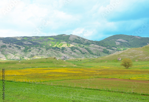 Altopiano di Rascino (Rieti, Italy) - The extended plateau of Rascino lake, over a thousand meters high, in the mountains between Lazio and Abruzzo region, province of Rieti, with spring flowering photo