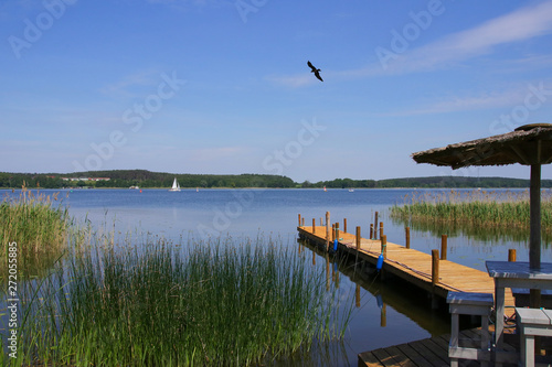 Mueritz national park. Holiday destination woblitz lake, Mecklenburg Lake Plateau photo