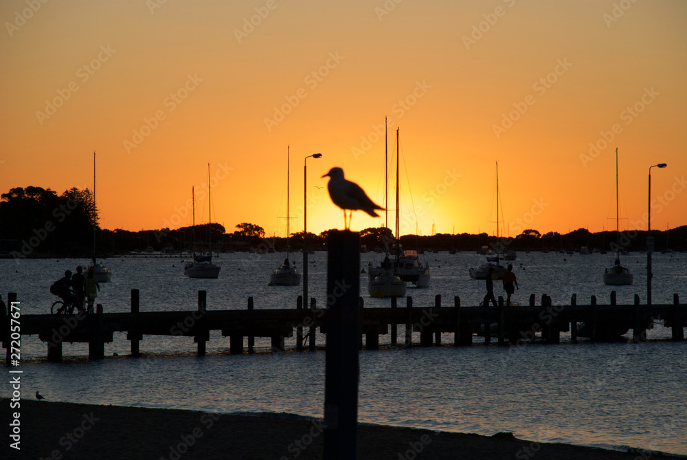 Seagull perched on post silhouetted by setting sun
