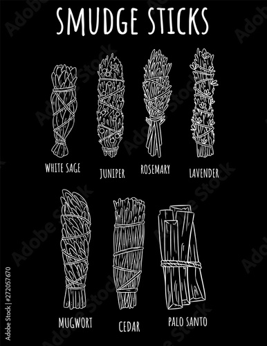 Sage smudge sticks hand-drawn set of sketch doodles on chalkboard. Herb bundles collection