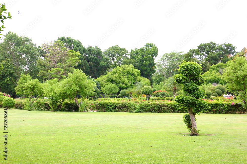 Obraz premium fresh air in park.green area create a good environment in the city for people to have outdoor activities.