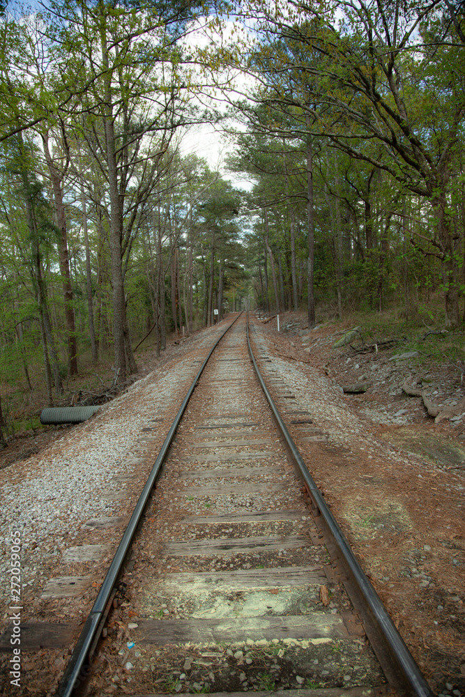 railway in the forest railway in the forest
