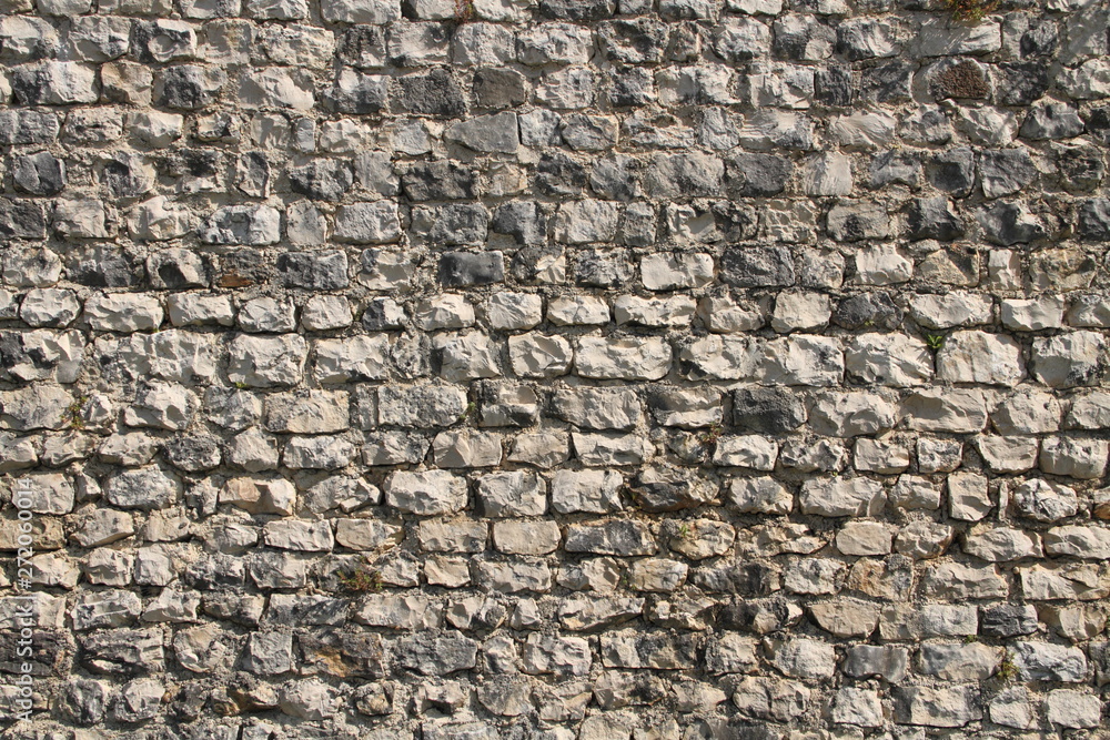 Obraz premium alte Mauer