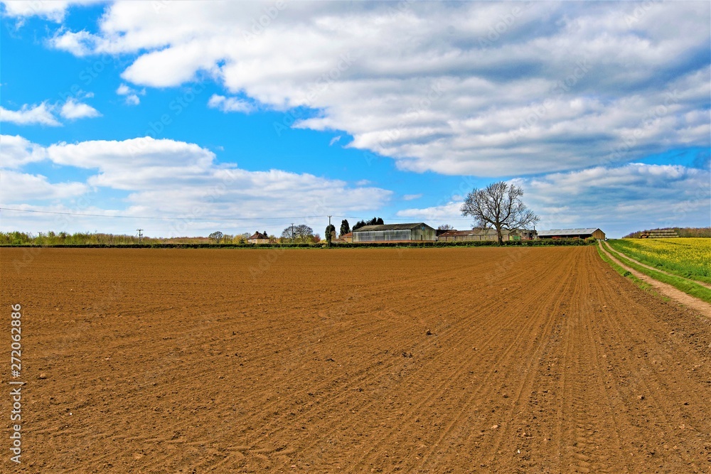 Road beside freshly ploughed field, Sprotbrough farmland, Doncaster