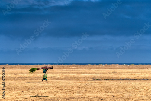 La porteuse de canne à sucre
