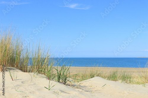 Dünen und Meer bei Renesse © Frofoto