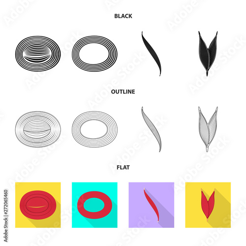 Vector illustration of fiber and muscular symbol. Collection of fiber and body  vector icon for stock.
