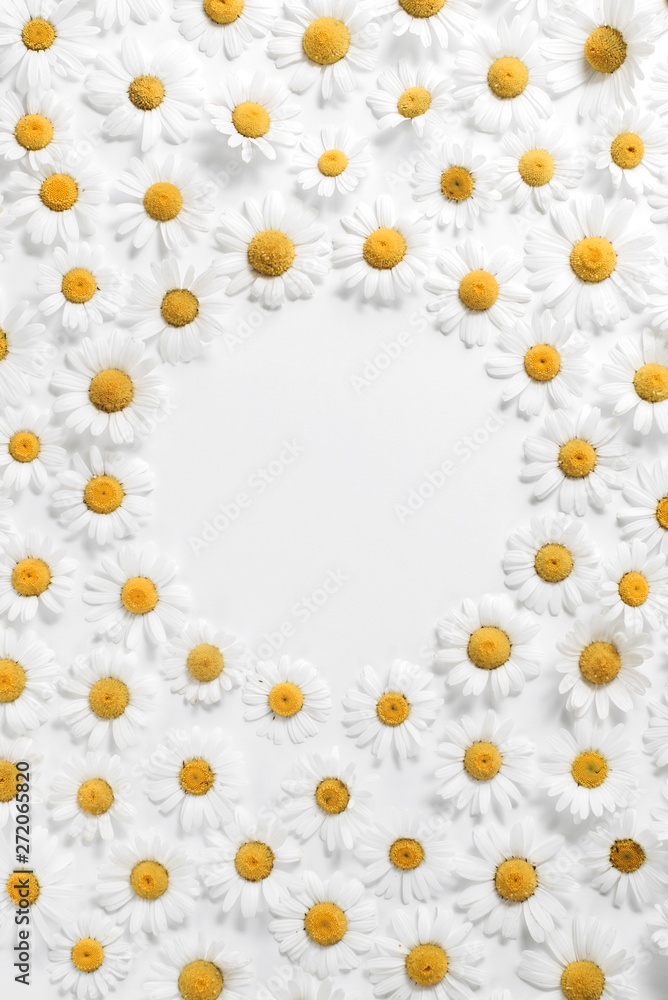 Obraz premium Floral pattern made of white chamomile daisy flowers on white background. Summer concept. Flat lay, top view, copy space. Daisy background