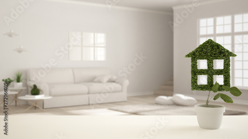 White table top or shelf with green plant in pot shaped like house  modern blurred living room background  interior design  real estate  eco architecture concept idea