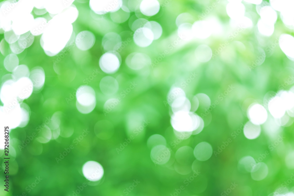 Green color of bokeh blur, natural background, abstract