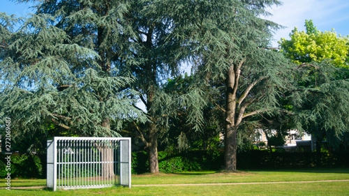 Wallpaper Mural Empty soccer goal in neighborhood Torontodigital.ca