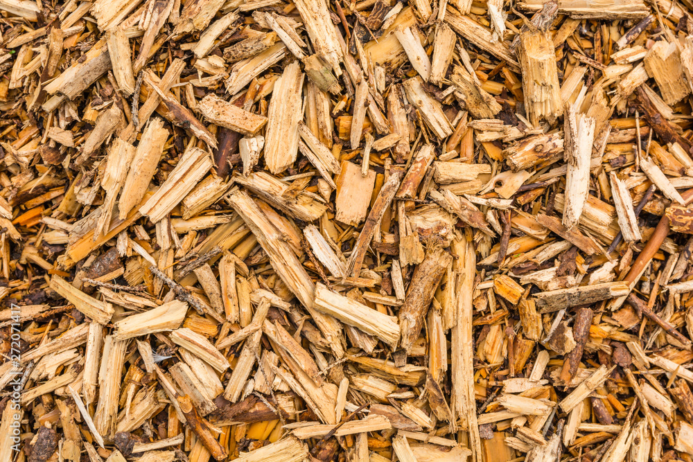 Texture (pattern) of small pieces of wood. Texture (pattern) of small pieces of wood.