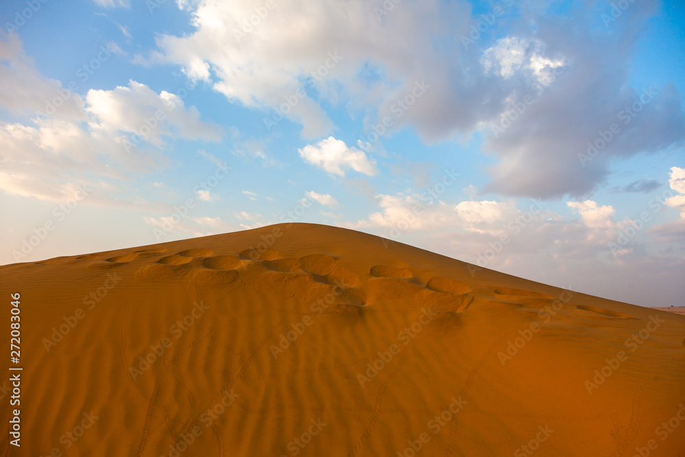 Thar desert Rajasthan, India