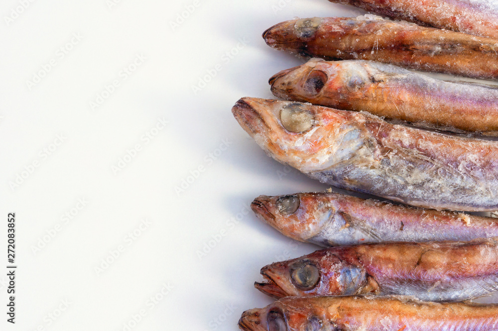Frozen raw oceanic large fish Frozen raw oceanic large fish