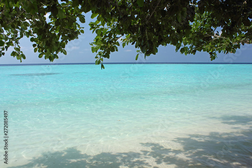 Fototapeta Naklejka Na Ścianę i Meble -  Spiaggia e mare maldiviani