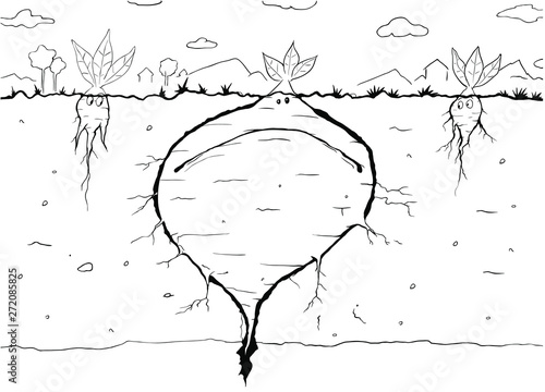 Large Root Vegetable Line Drawing