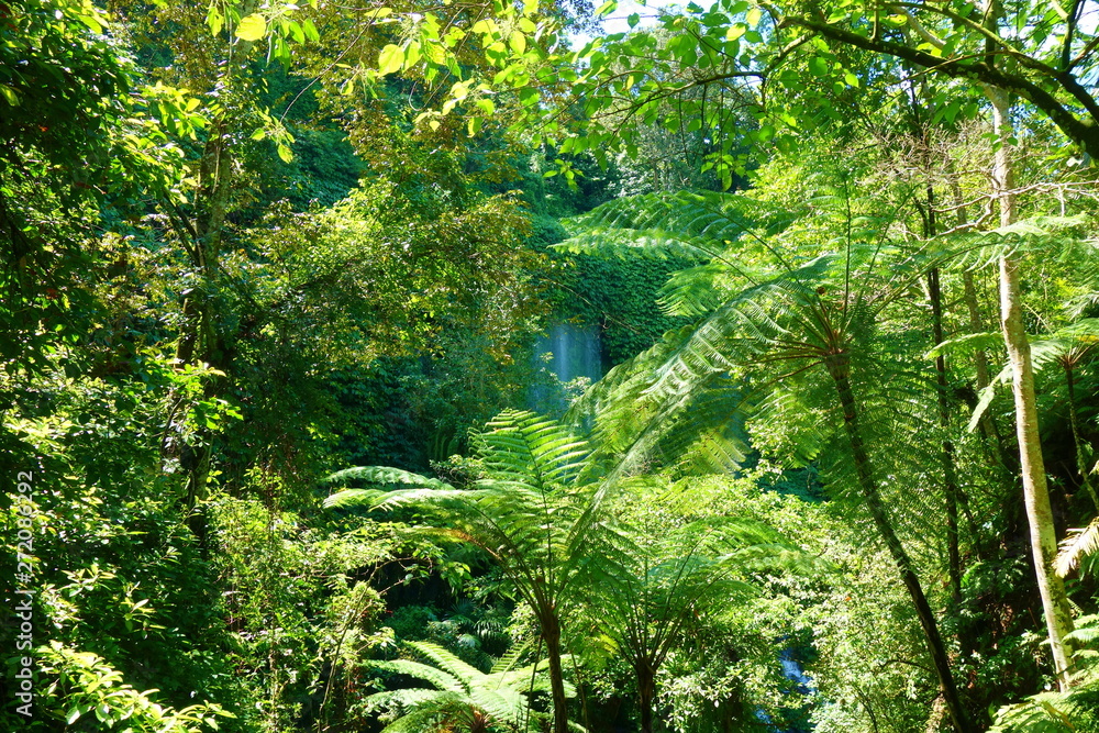 Benangstokel and Benang Kelambul waterfall located in Central Lombok, Indonesia