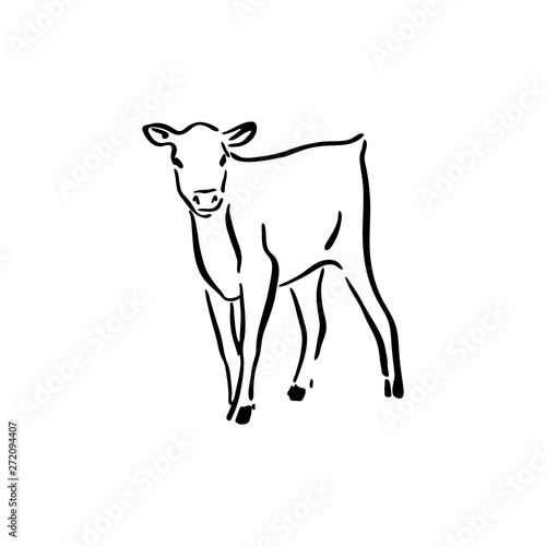 How to draw Cow and Calf easy - YouTube
