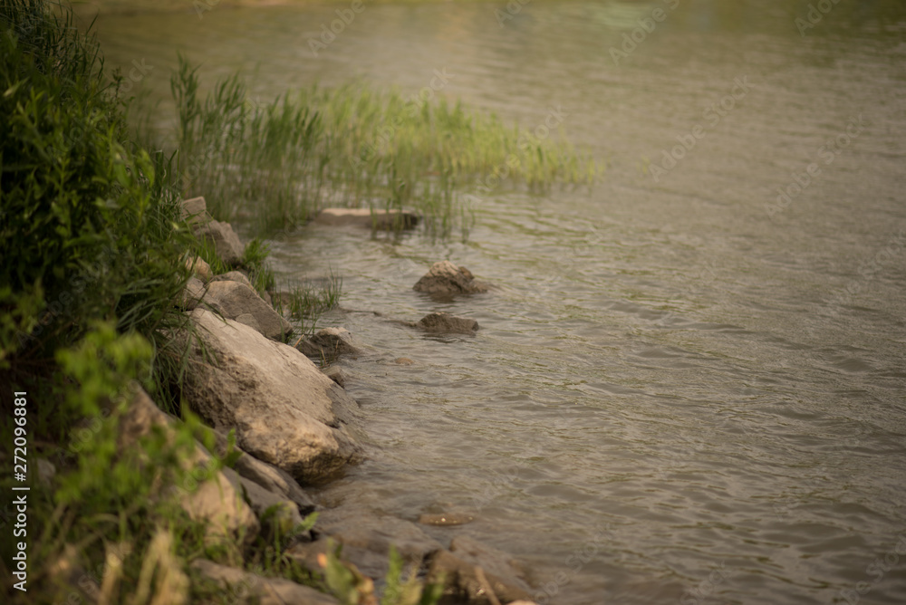 river forest nature spring greenery river forest nature spring greenery