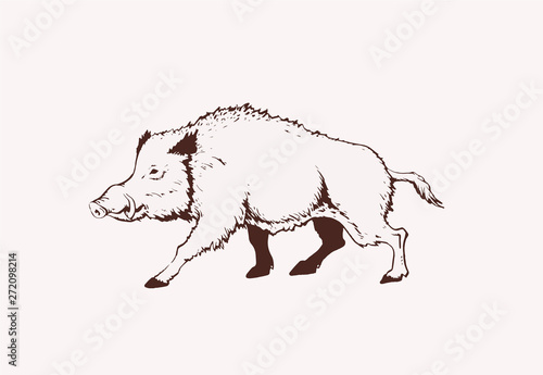 Vintage  wild boar standing,graphical illustration,sepia