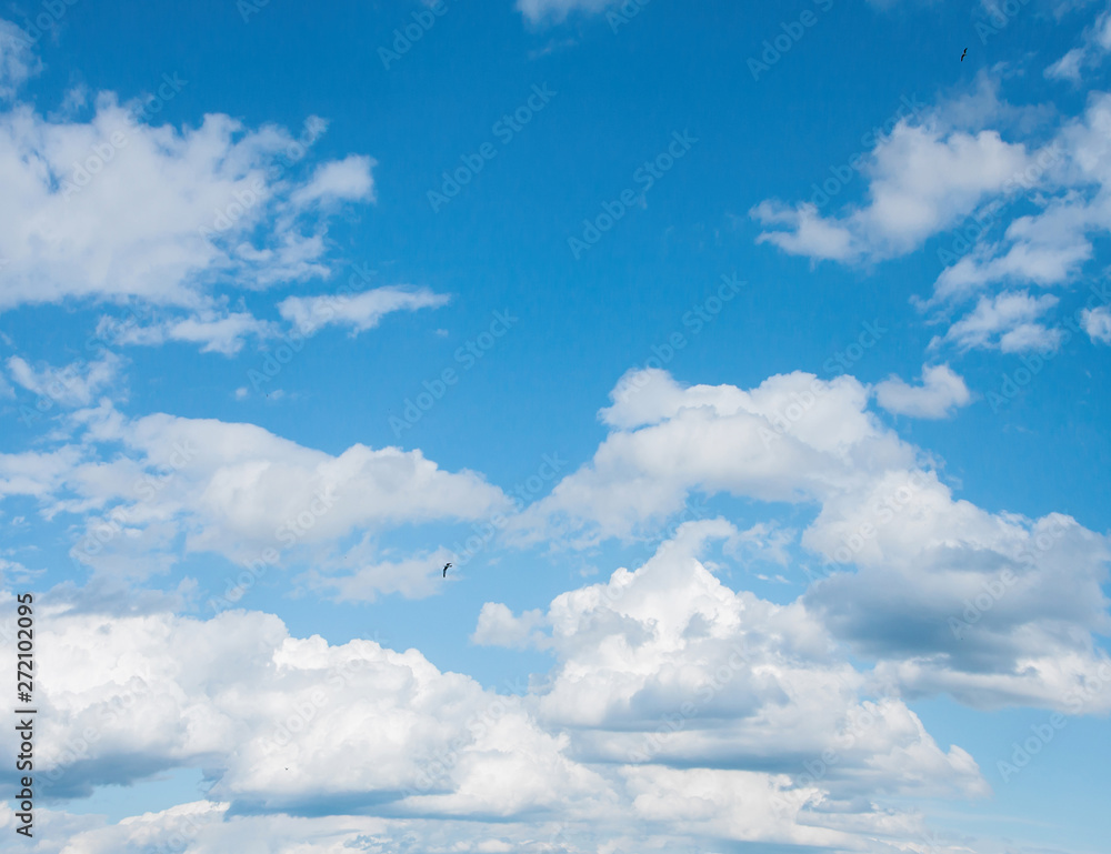 big white clouds in the blue sky big white clouds in the blue sky