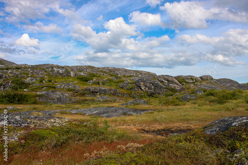 Tundra of the Kola Peninsula beyond the Arctic Circle in clear weather, green moss and lichens, rocks. Clouds in the blue sky. Russia.