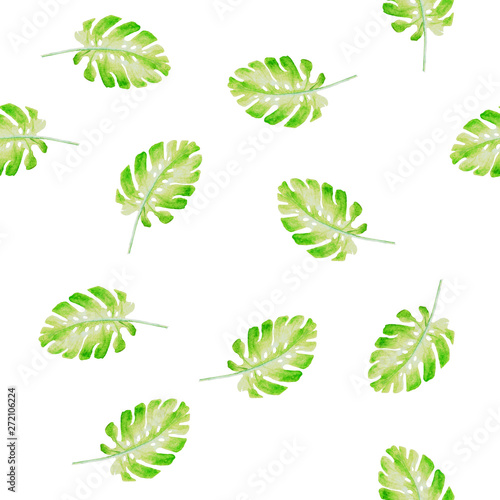 Green fresh palm leaves monstera on a white isolated background