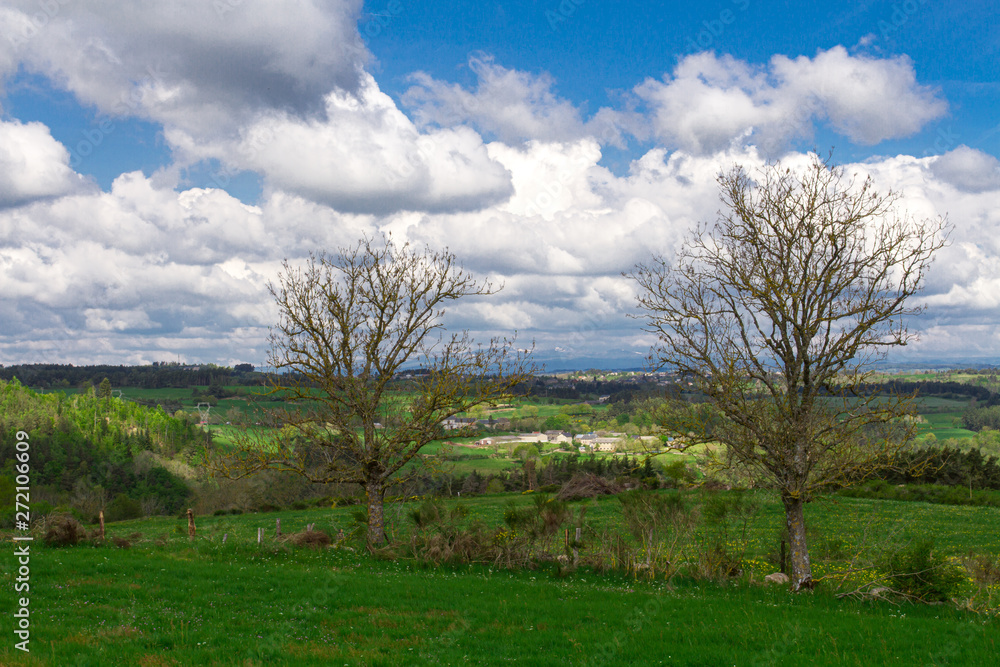 paysage de Lozère