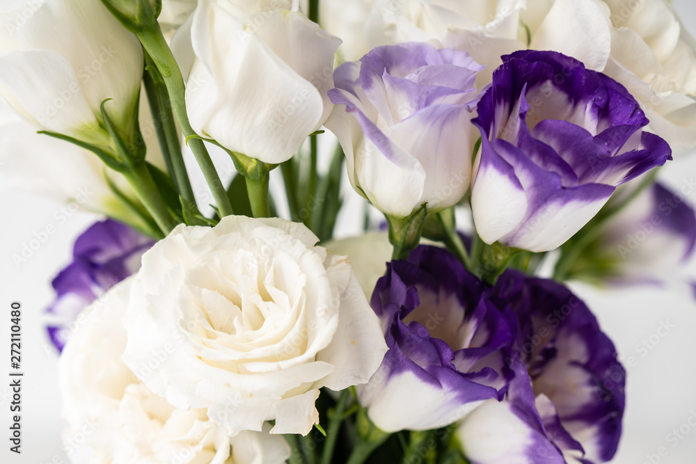 Obraz premium flower